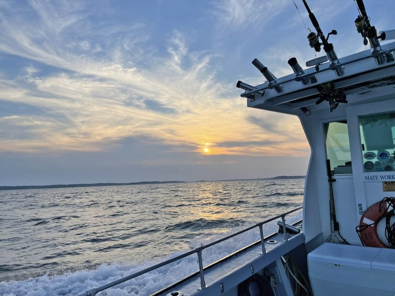 5th of July Cruise on Marica II