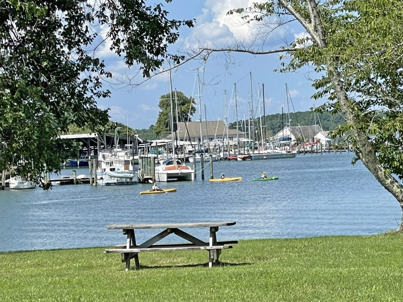 Kayakers Picnic Table